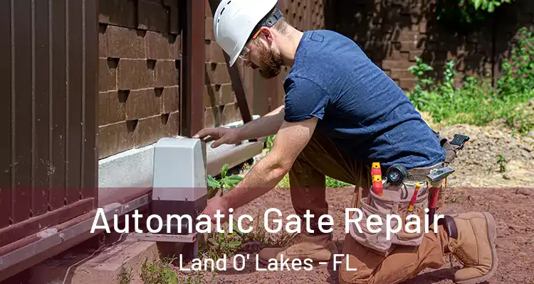 Automatic Gate Repair Land O' Lakes - FL