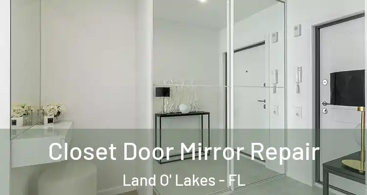 Closet Door Mirror Repair Land O' Lakes - FL