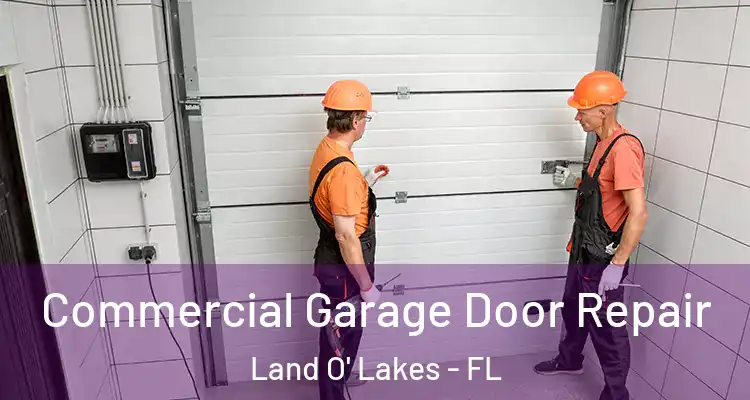  Commercial Garage Door Repair Land O' Lakes - FL