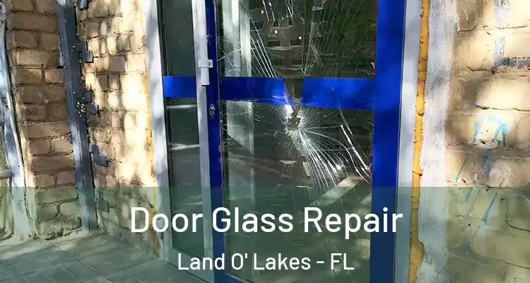  Door Glass Repair Land O' Lakes - FL
