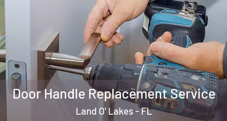  Door Handle Replacement Service Land O' Lakes - FL