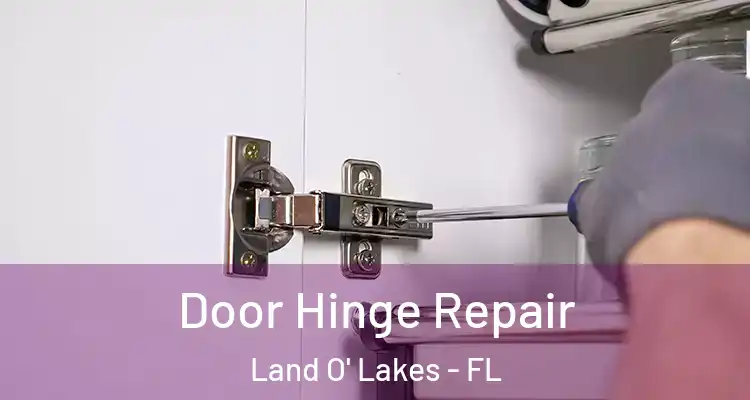  Door Hinge Repair Land O' Lakes - FL