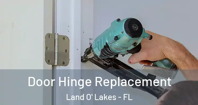  Door Hinge Replacement Land O' Lakes - FL