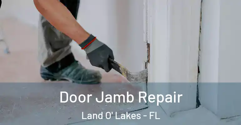  Door Jamb Repair Land O' Lakes - FL