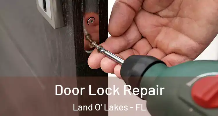  Door Lock Repair Land O' Lakes - FL