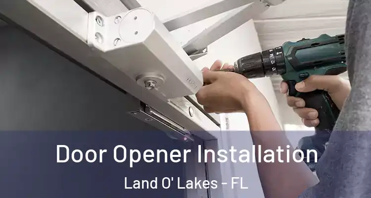  Door Opener Installation Land O' Lakes - FL