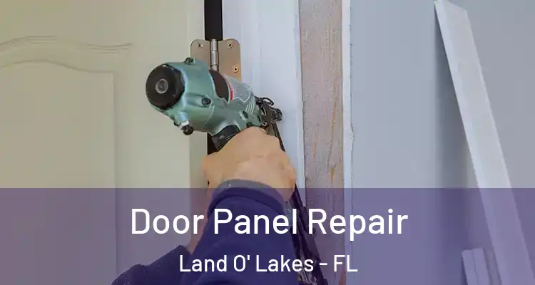  Door Panel Repair Land O' Lakes - FL