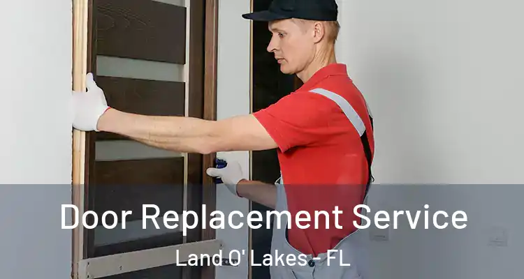  Door Replacement Service Land O' Lakes - FL