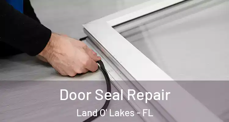  Door Seal Repair Land O' Lakes - FL