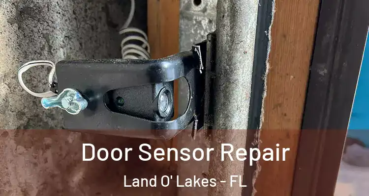  Door Sensor Repair Land O' Lakes - FL