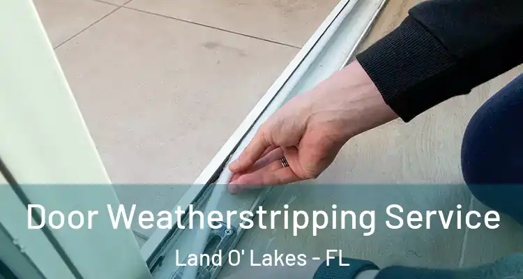  Door Weatherstripping Service Land O' Lakes - FL