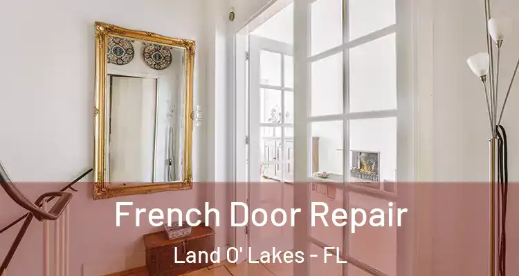  French Door Repair Land O' Lakes - FL