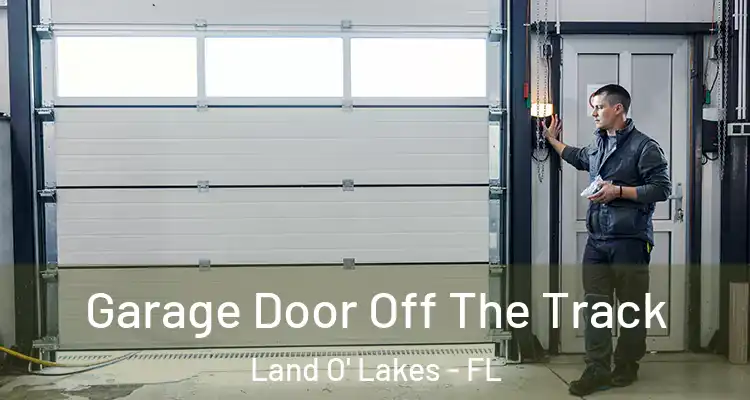  Garage Door Off The Track Land O' Lakes - FL