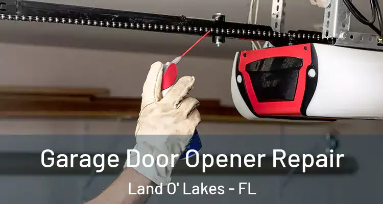  Garage Door Opener Repair Land O' Lakes - FL