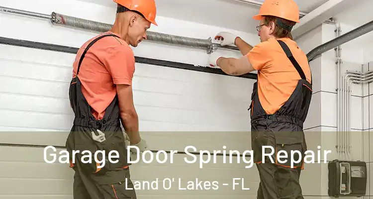  Garage Door Spring Repair Land O' Lakes - FL