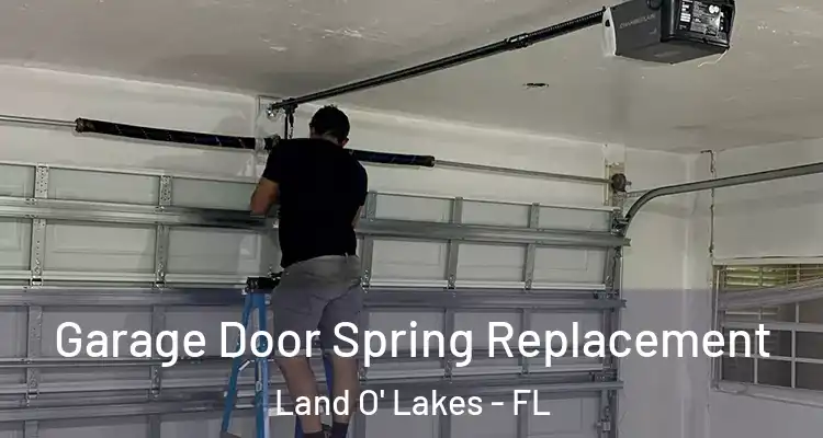  Garage Door Spring Replacement Land O' Lakes - FL