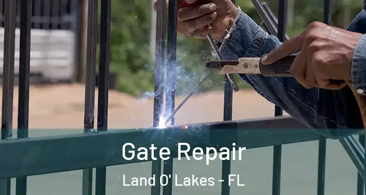  Gate Repair Land O' Lakes - FL