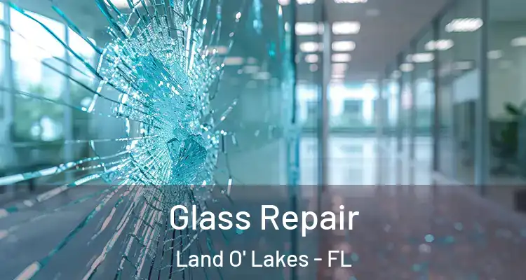  Glass Repair Land O' Lakes - FL
