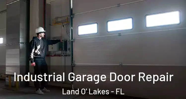  Industrial Garage Door Repair Land O' Lakes - FL