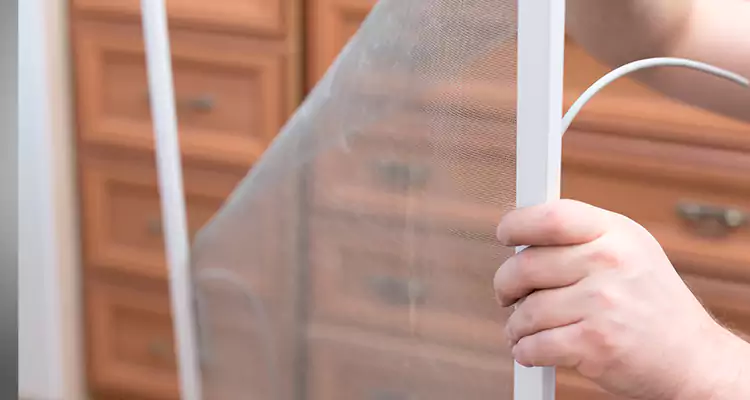 Privacy Mesh Screen Door Installation in Land O' Lakes, FL