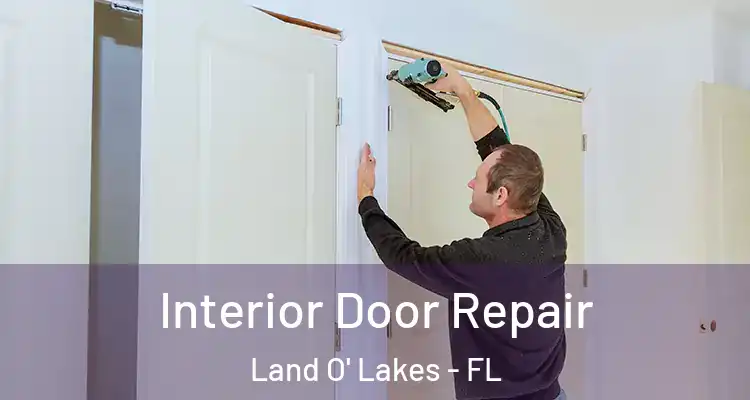  Interior Door Repair Land O' Lakes - FL