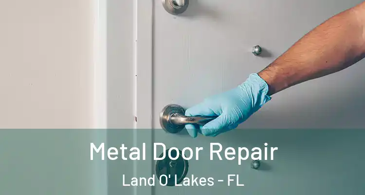  Metal Door Repair Land O' Lakes - FL