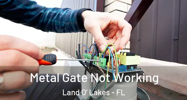  Metal Gate Not Working Land O' Lakes - FL