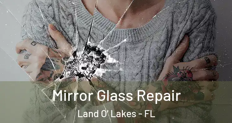  Mirror Glass Repair Land O' Lakes - FL