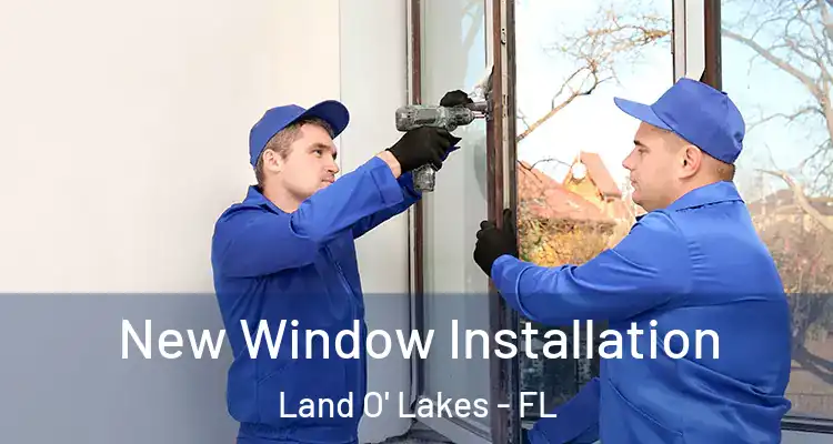  New Window Installation Land O' Lakes - FL