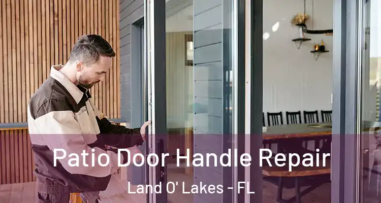  Patio Door Handle Repair Land O' Lakes - FL