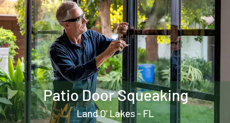  Patio Door Squeaking Land O' Lakes - FL