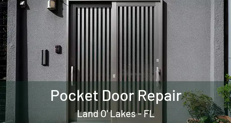  Pocket Door Repair Land O' Lakes - FL