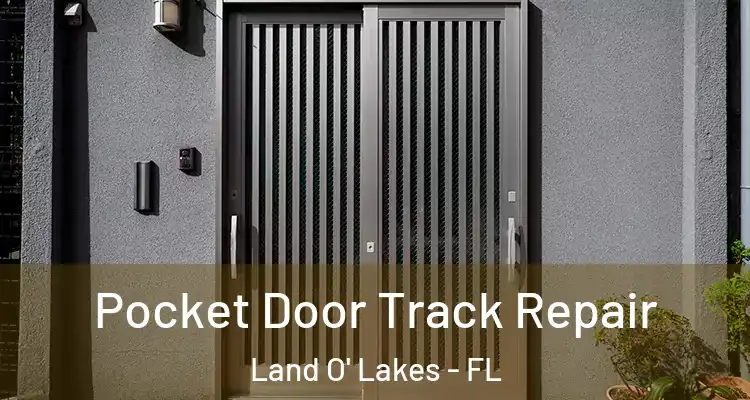  Pocket Door Track Repair Land O' Lakes - FL