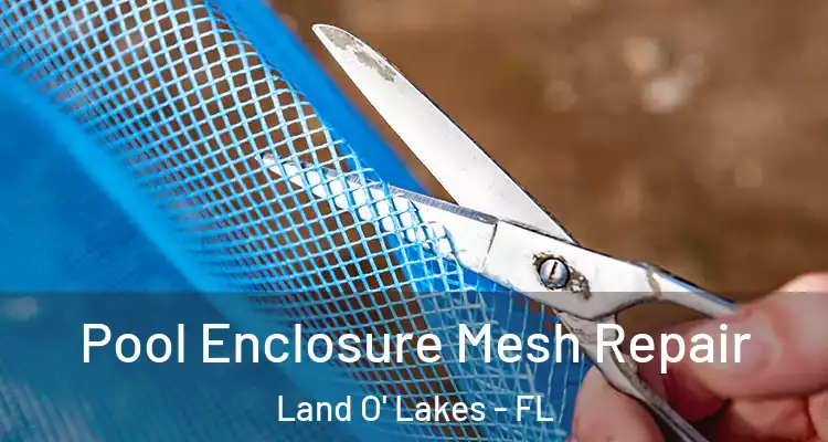 Pool Enclosure Mesh Repair Land O' Lakes - FL