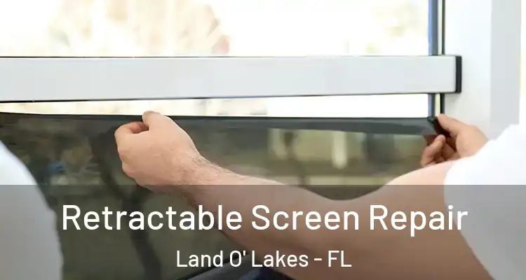  Retractable Screen Repair Land O' Lakes - FL