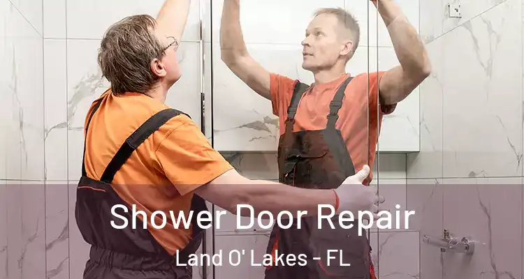  Shower Door Repair Land O' Lakes - FL