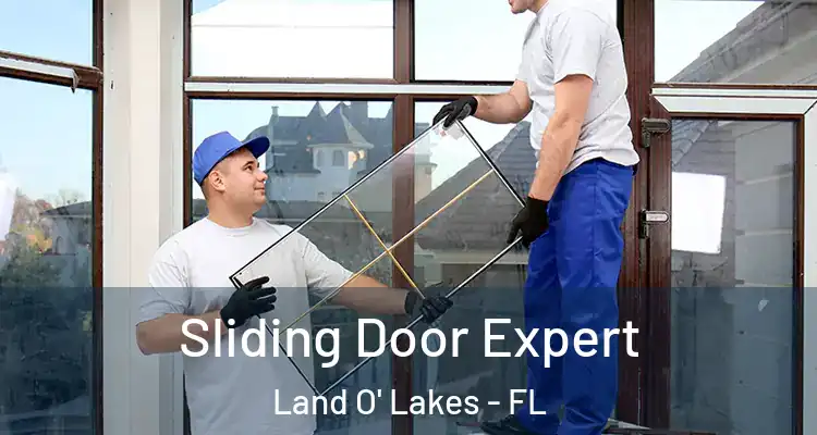  Sliding Door Expert Land O' Lakes - FL