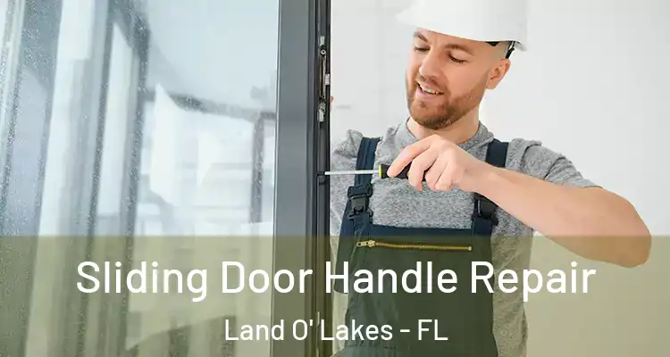  Sliding Door Handle Repair Land O' Lakes - FL