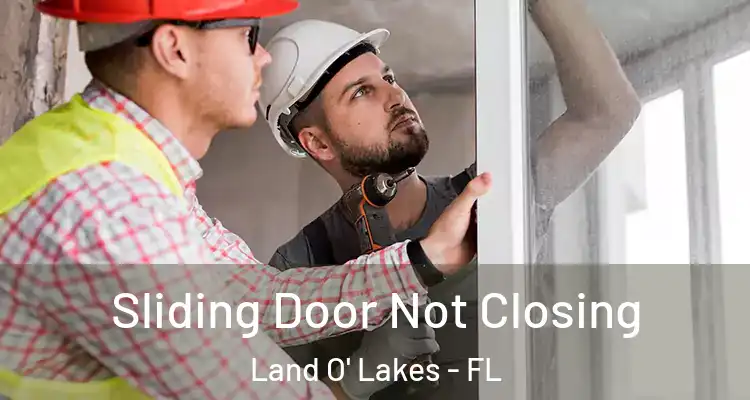  Sliding Door Not Closing Land O' Lakes - FL