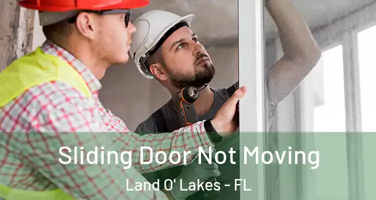  Sliding Door Not Moving Land O' Lakes - FL