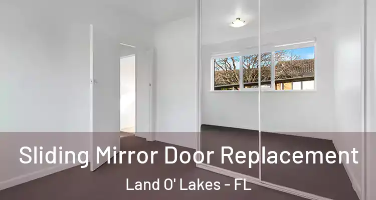  Sliding Mirror Door Replacement Land O' Lakes - FL