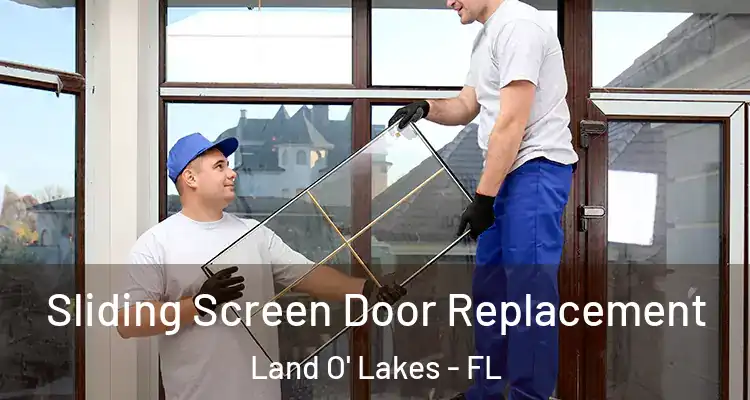  Sliding Screen Door Replacement Land O' Lakes - FL