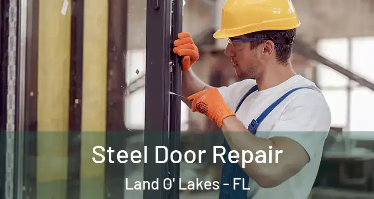  Steel Door Repair Land O' Lakes - FL