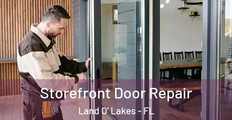 Storefront Door Repair Land O' Lakes - FL