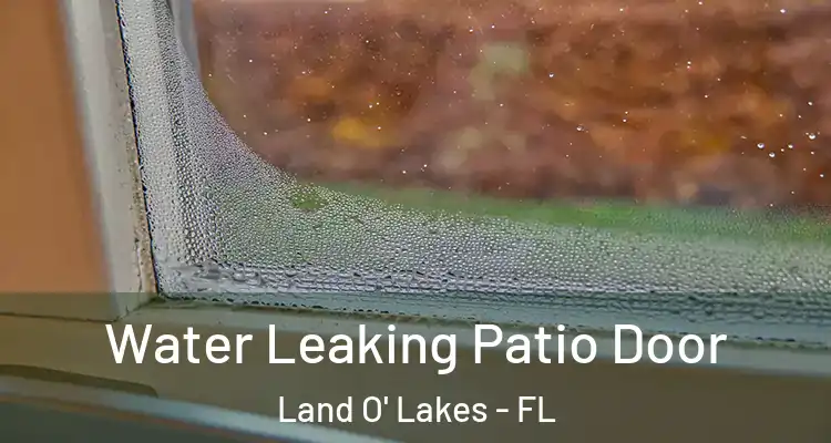  Water Leaking Patio Door Land O' Lakes - FL