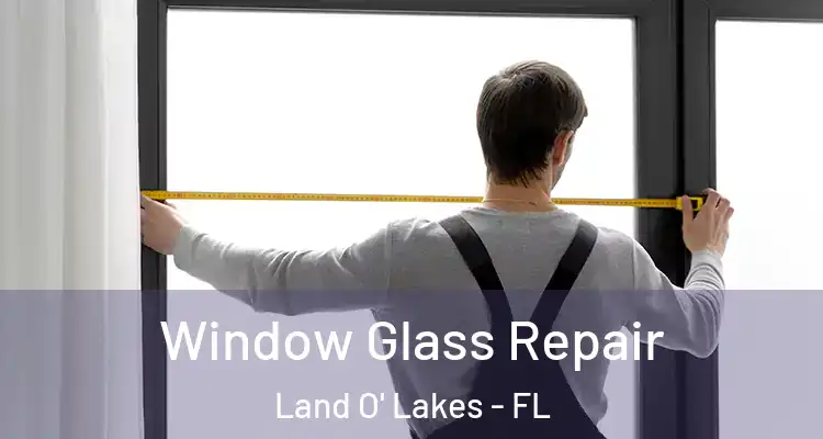  Window Glass Repair Land O' Lakes - FL