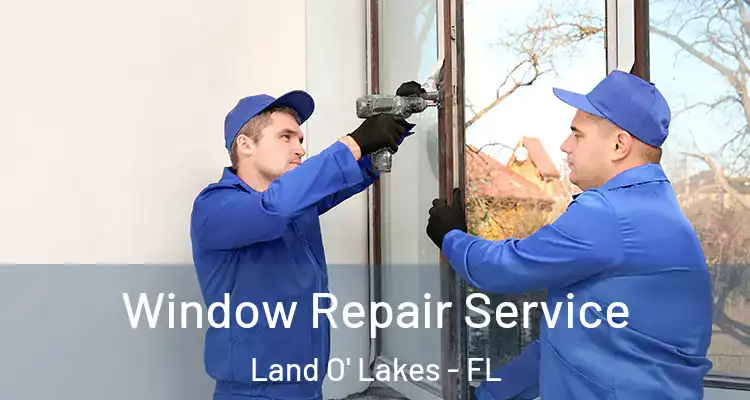  Window Repair Service Land O' Lakes - FL