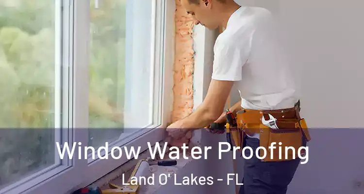 Window Water Proofing Land O' Lakes - FL