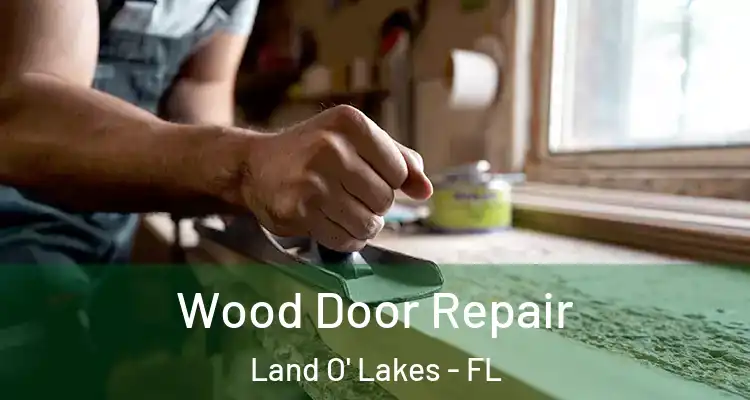  Wood Door Repair Land O' Lakes - FL